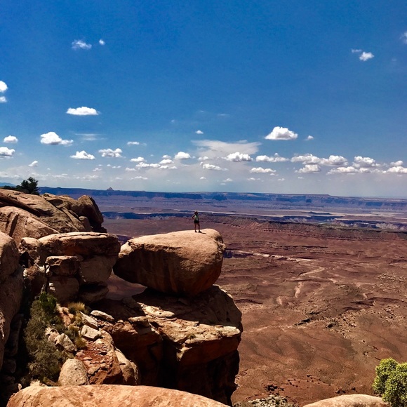 Meet your Posher, Atilda - Picture 4 of 4